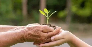Trách nhiệm xã hội